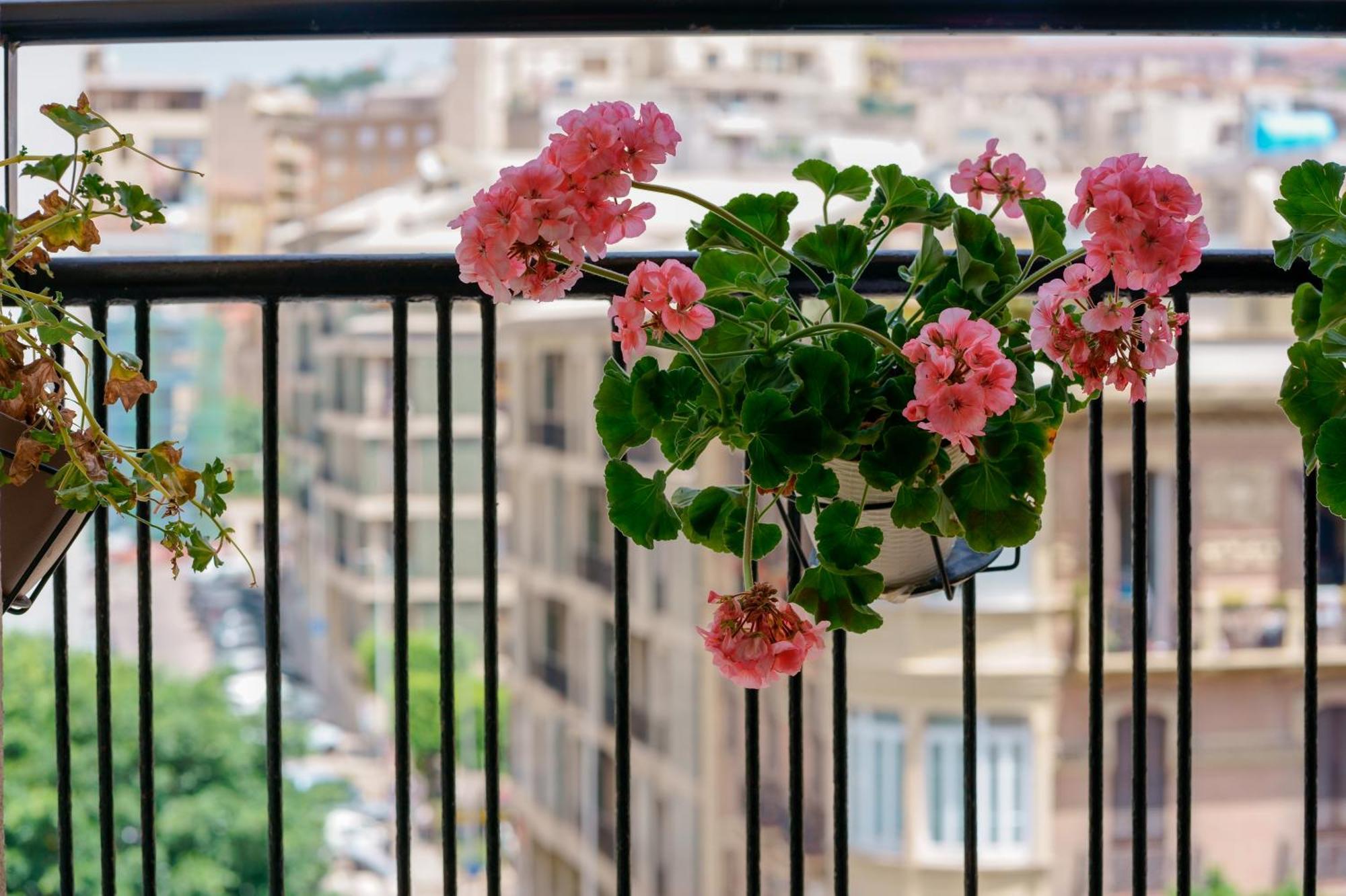 Welcome Cagliari Bagian luar foto